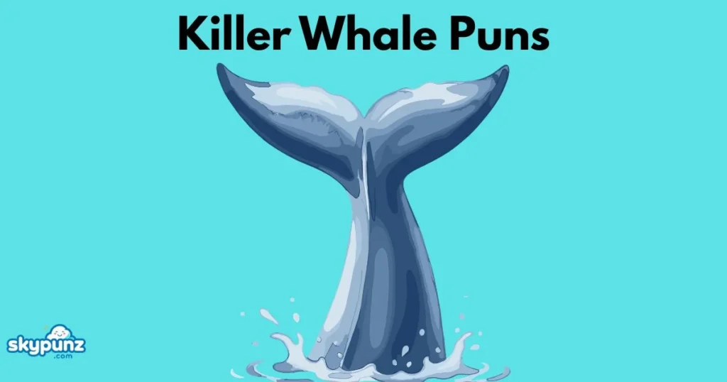 Killer Whale Puns