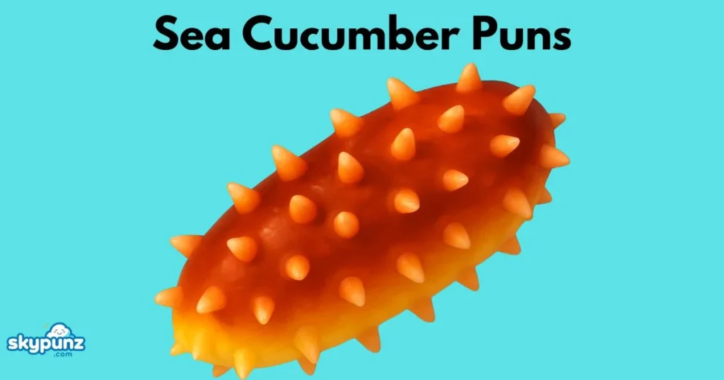 Sea Cucumber Puns