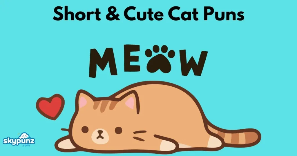 Short And Cute Cat Puns