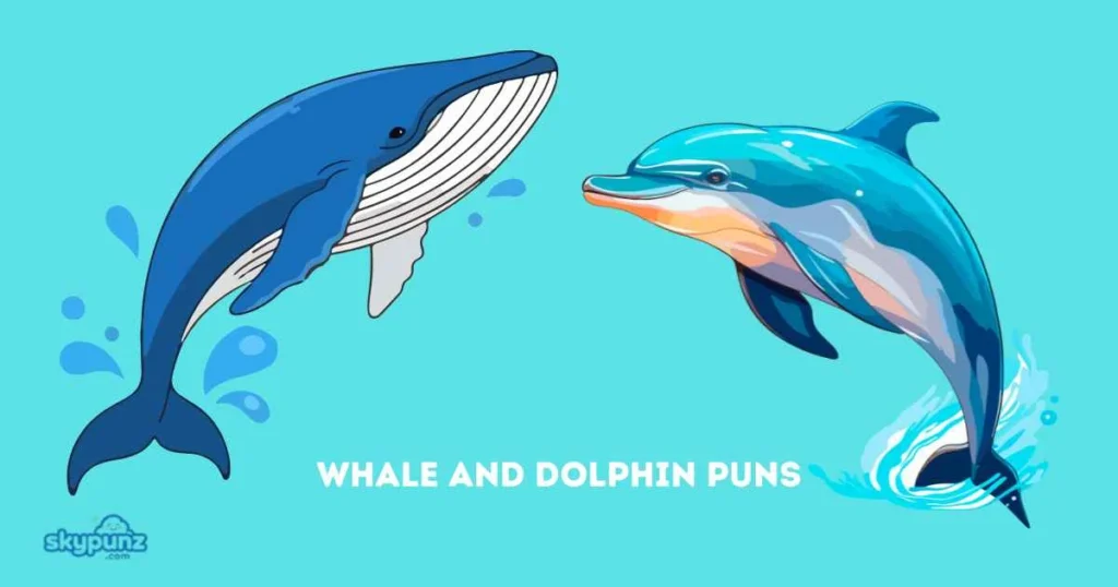 Whale And Dolphin Puns
