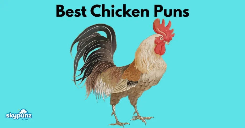 Best Chicken Puns