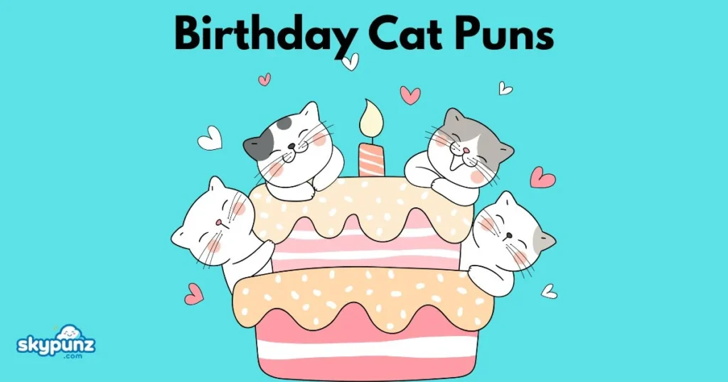 Birthday Cat Puns