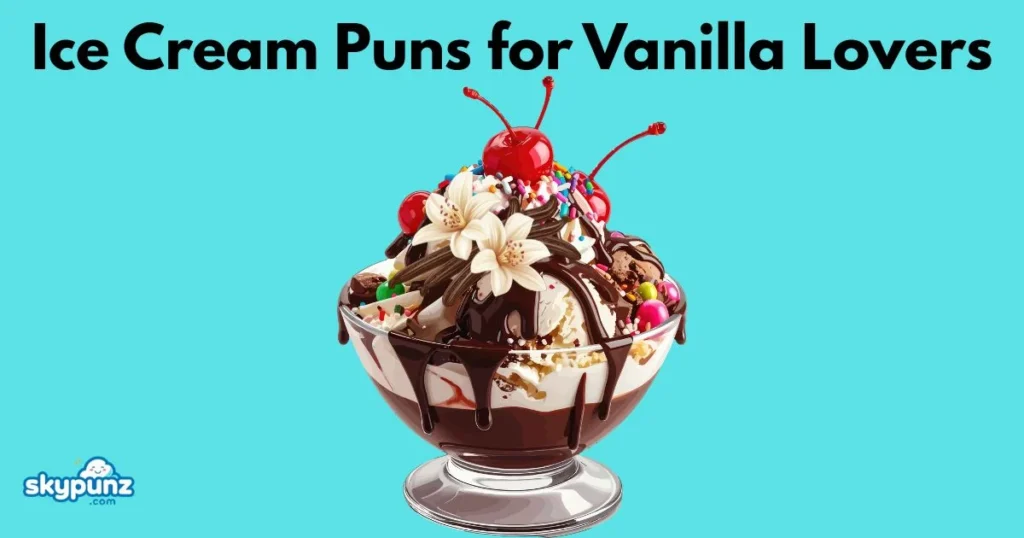 Ice Cream Puns For Vanilla Lovers