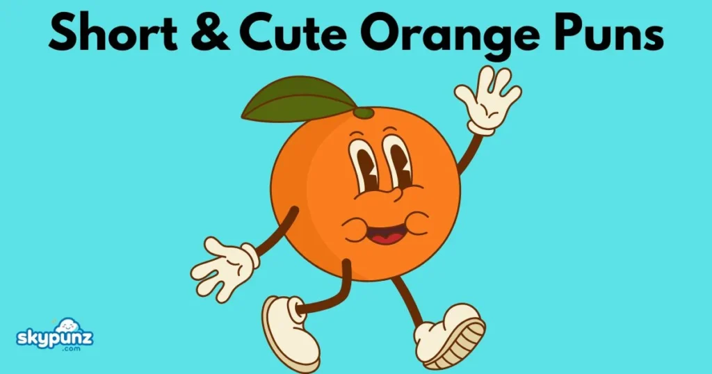 Short And Cute Orange Puns