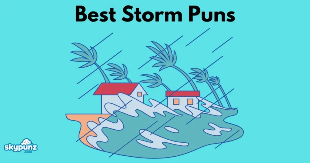 Best Storm Puns