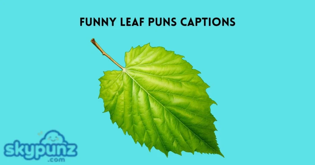 Funny Leaf Puns Captions