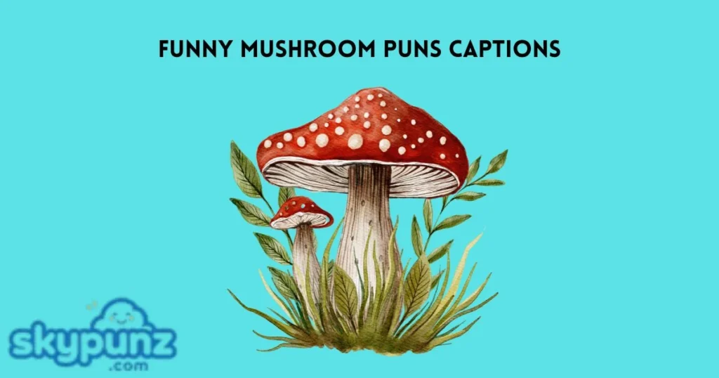 Funny Mushroom Puns Captions