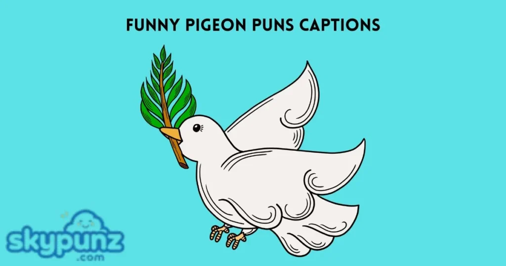 Funny Pigeon Puns Captions
