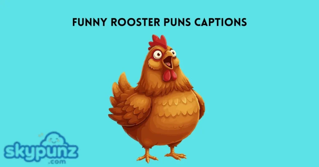 Funny Rooster Puns Captions