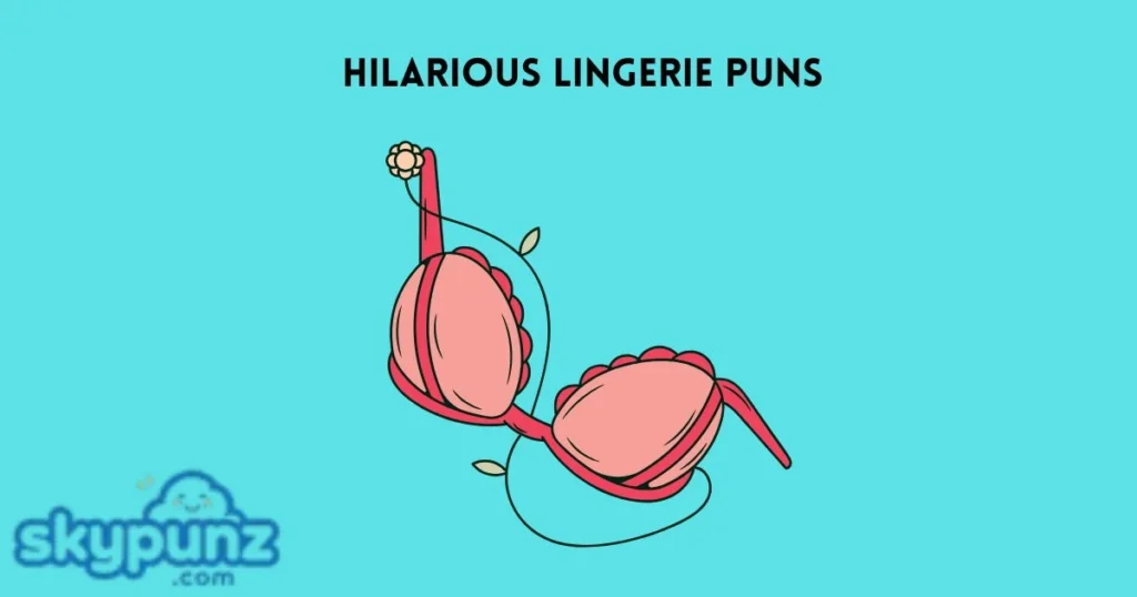 Hilarious Lingerie Puns