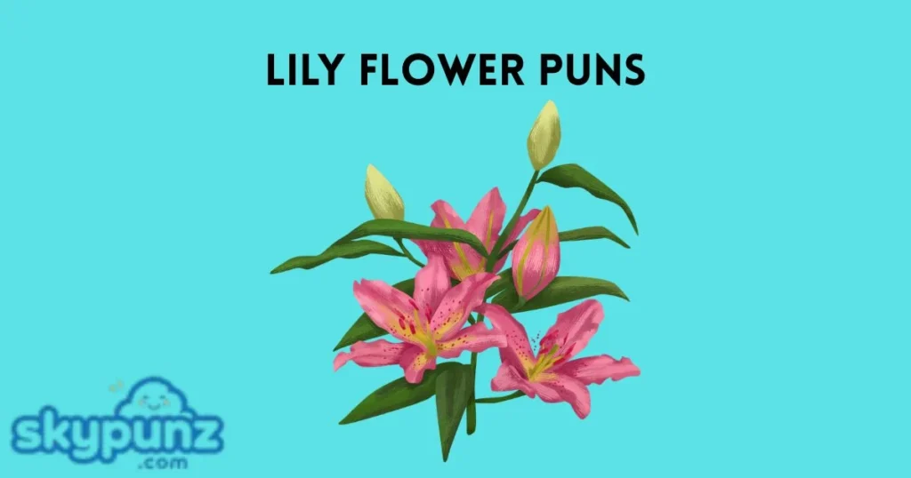 Lily Flower Puns