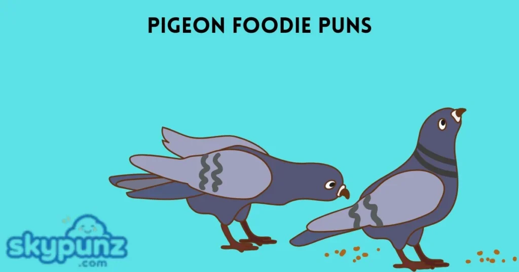 Pigeon Foodie Puns