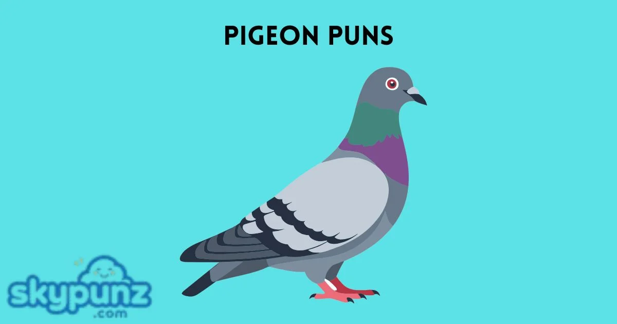 Pigeon Puns