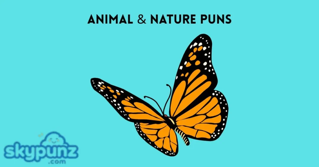 Animal And Nature Puns