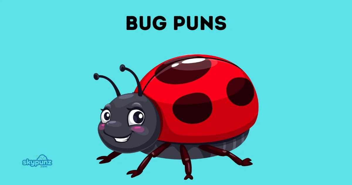 Bug Puns