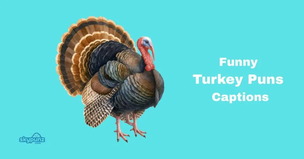 Funny Turkey Puns Captions