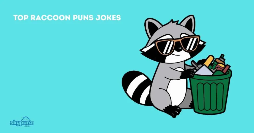 Top Raccoon Puns Jokes