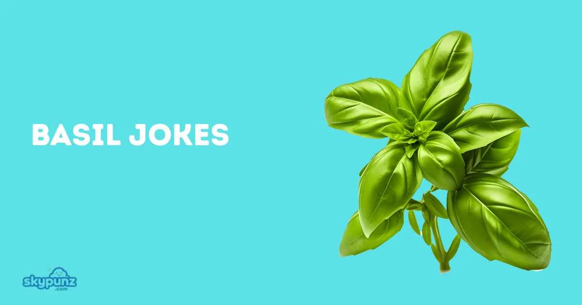 Basil Jokes